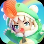 命运之石